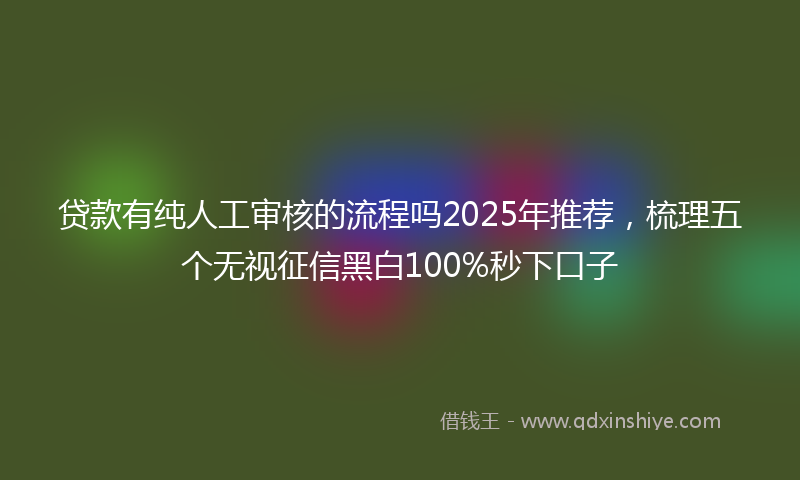 贷款有纯人工审核的流程吗2025年推荐，梳理五个无视征信黑白100%秒下口子