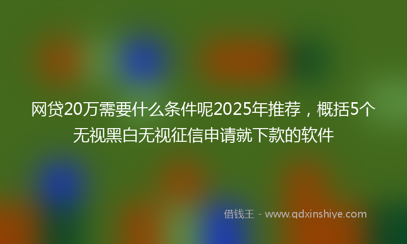 网贷20万需要什么条件呢2025年推荐，概括5个无视黑白无视征信申请就下款的软件