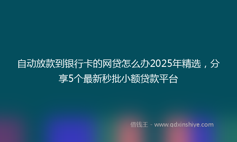 自动放款到银行卡的网贷怎么办2025年精选，分享5个最新秒批小额贷款平台