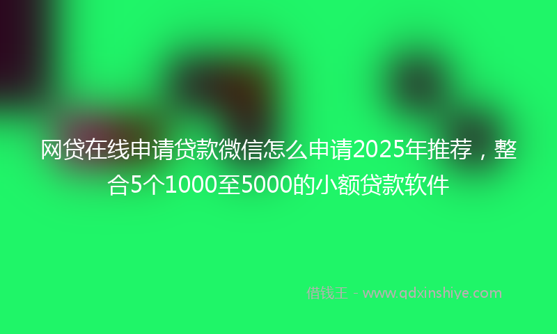 网贷在线申请贷款微信怎么申请2025年推荐，整合5个1000至5000的小额贷款软件