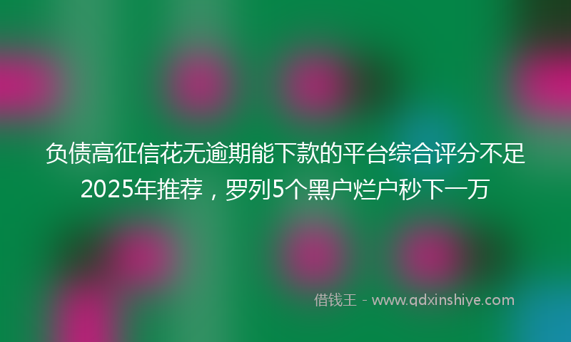 负债高征信花无逾期能下款的平台综合评分不足2025年推荐，罗列5个黑户烂户秒下一万
