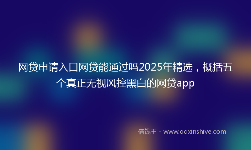 网贷申请入口网贷能通过吗2025年精选，概括五个真正无视风控黑白的网贷app