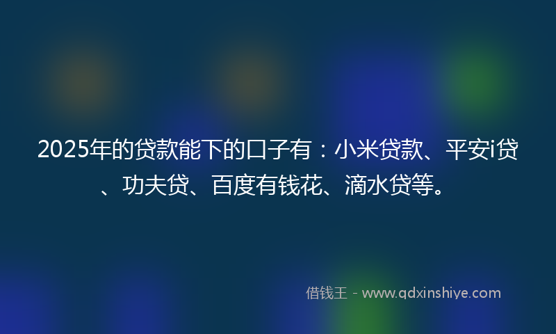 2025年的贷款能下的口子有：小米贷款、平安i贷、功夫贷、百度有钱花、滴水贷等。