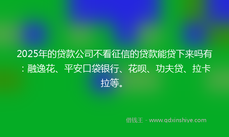 2025年的贷款公司不看征信的贷款能贷下来吗有：融逸花、平安口袋银行、花呗、功夫贷、拉卡拉等。