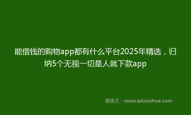 能借钱的购物app都有什么平台2025年精选，归纳5个无视一切是人就下款app
