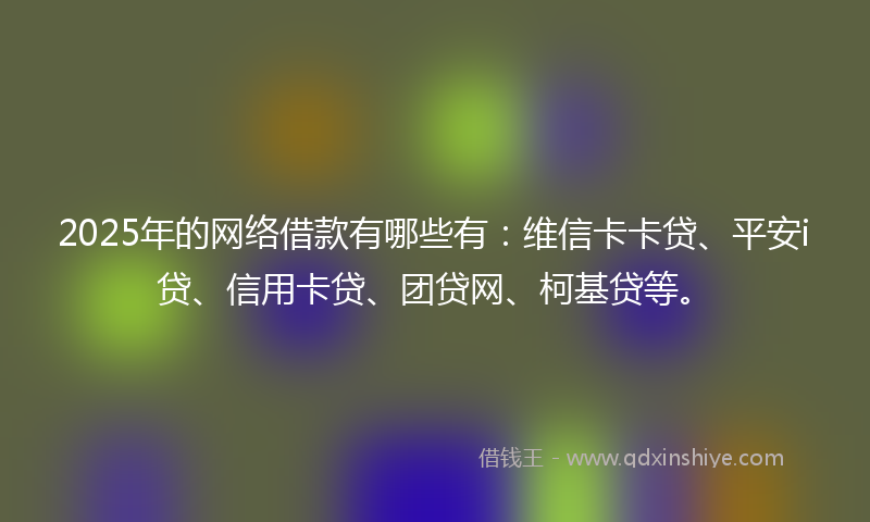 2025年的网络借款有哪些有：维信卡卡贷、平安i贷、信用卡贷、团贷网、柯基贷等。
