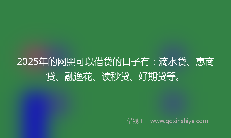 2025年的网黑可以借贷的口子有：滴水贷、惠商贷、融逸花、读秒贷、好期贷等。