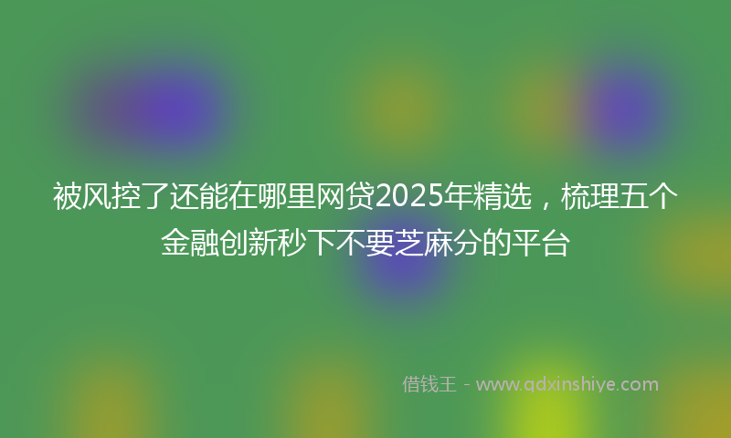 被风控了还能在哪里网贷2025年精选，梳理五个金融创新秒下不要芝麻分的平台