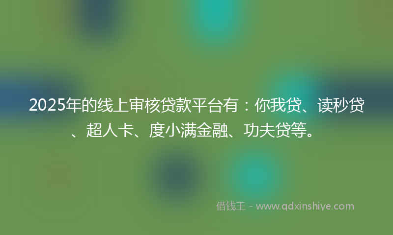 2025年的线上审核贷款平台有：你我贷、读秒贷、超人卡、度小满金融、功夫贷等。