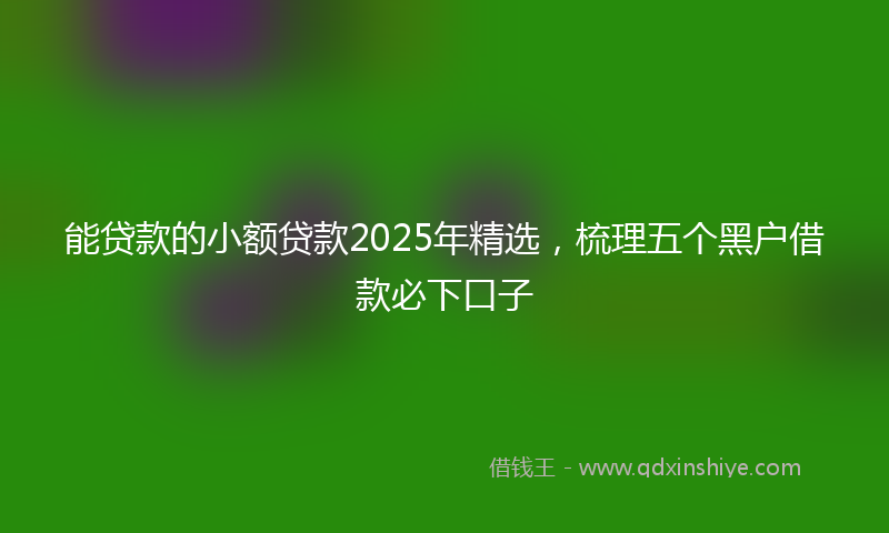 能贷款的小额贷款2025年精选，梳理五个黑户借款必下口子