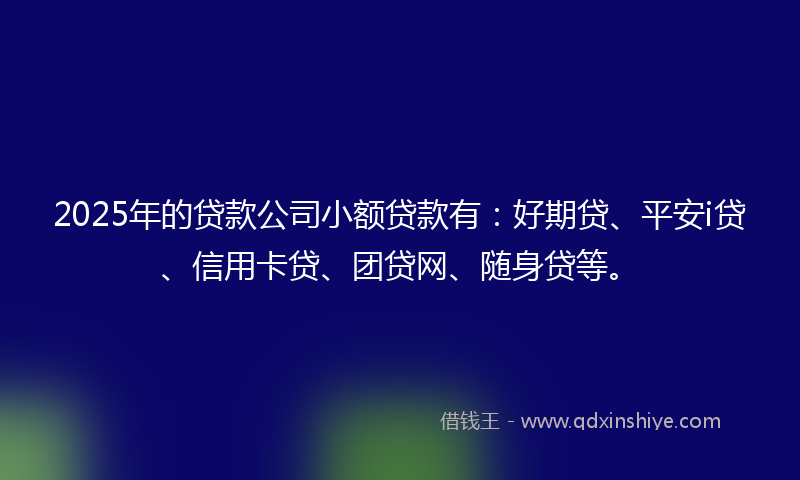 2025年的贷款公司小额贷款有：好期贷、平安i贷、信用卡贷、团贷网、随身贷等。