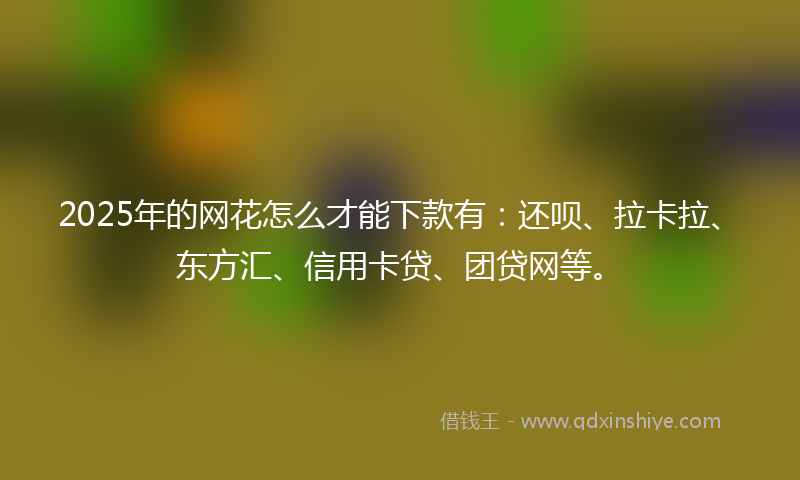 2025年的网花怎么才能下款有：还呗、拉卡拉、东方汇、信用卡贷、团贷网等。