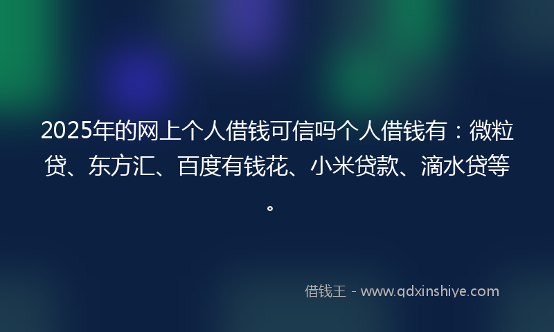 2025年的网上个人借钱可信吗个人借钱有：微粒贷、东方汇、百度有钱花、小米贷款、滴水贷等。