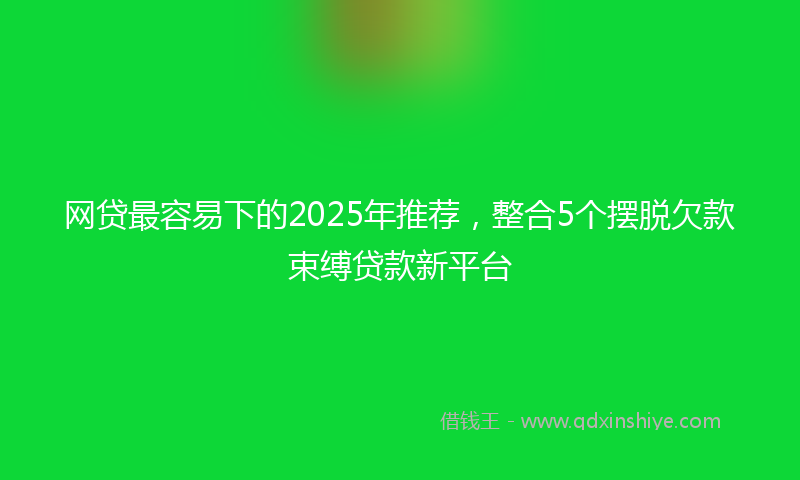 网贷最容易下的2025年推荐，整合5个摆脱欠款束缚贷款新平台