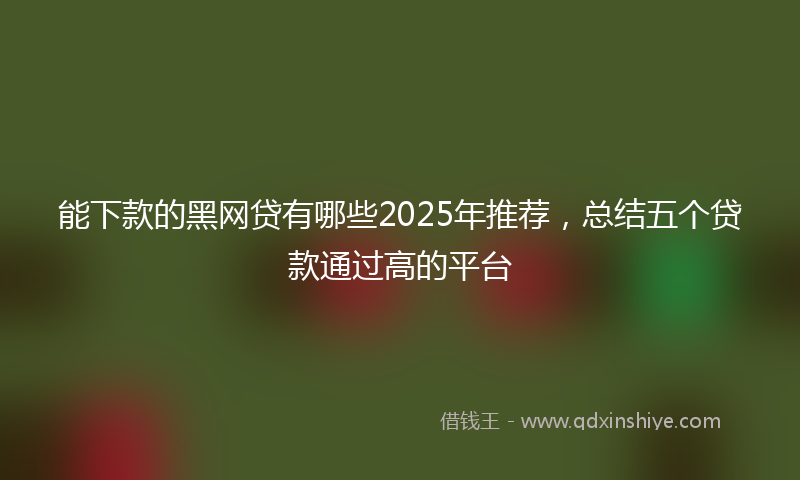 能下款的黑网贷有哪些2025年推荐，总结五个贷款通过高的平台