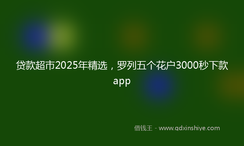 贷款超市2025年精选，罗列五个花户3000秒下款app