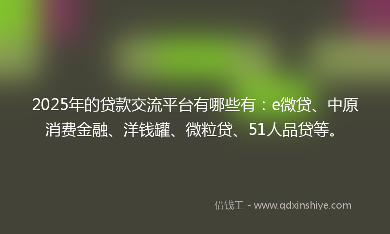 2025年的贷款交流平台有哪些有：e微贷、中原消费金融、洋钱罐、微粒贷、51人品贷等。