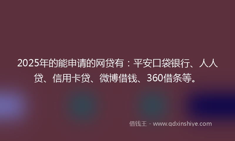 2025年的能申请的网贷有：平安口袋银行、人人贷、信用卡贷、微博借钱、360借条等。