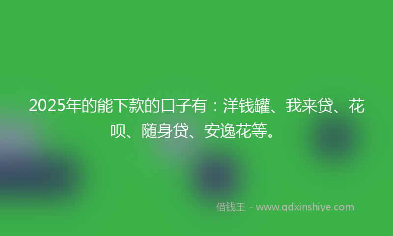 2025年的能下款的口子有：洋钱罐、我来贷、花呗、随身贷、安逸花等。