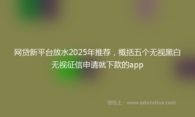 网贷新平台放水2025年推荐，概括五个无视黑白无视征信申请就下款的app