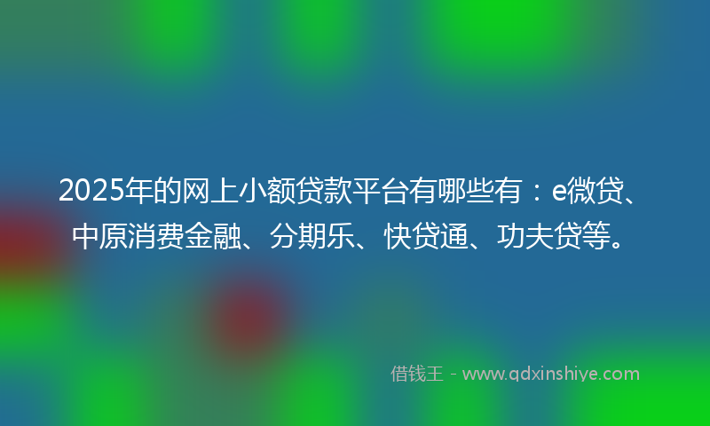 2025年的网上小额贷款平台有哪些有：e微贷、中原消费金融、分期乐、快贷通、功夫贷等。