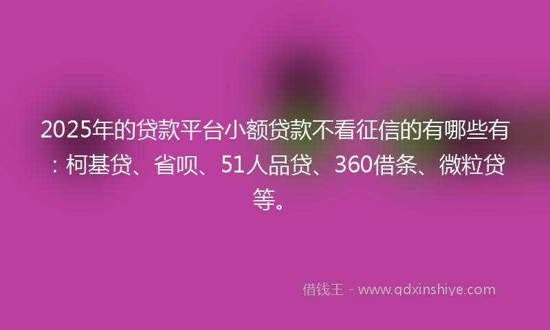 2025年的贷款平台小额贷款不看征信的有哪些有：柯基贷、省呗、51人品贷、360借条、微粒贷等。