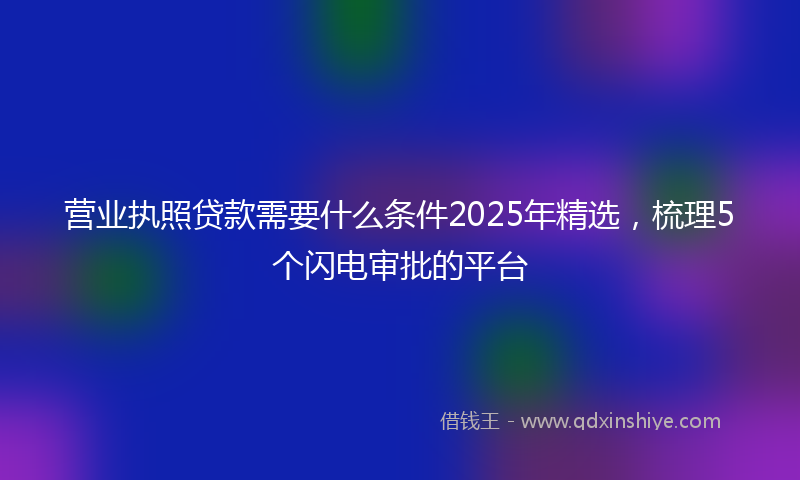 营业执照贷款需要什么条件2025年精选，梳理5个闪电审批的平台