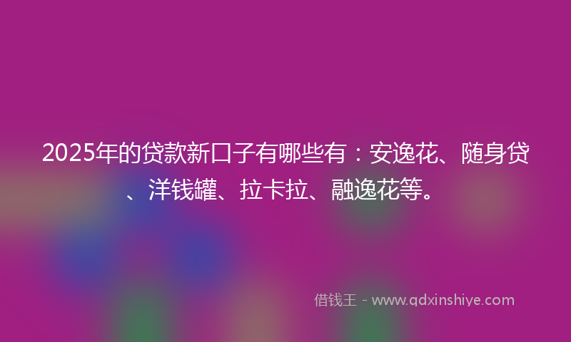2025年的贷款新口子有哪些有：安逸花、随身贷、洋钱罐、拉卡拉、融逸花等。