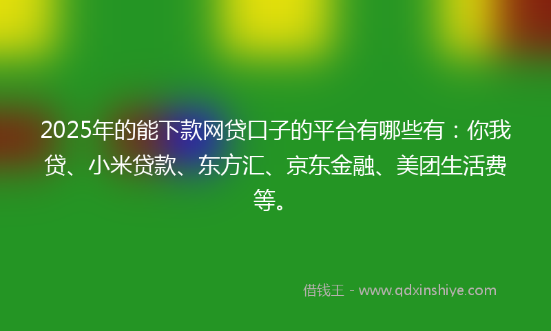 2025年的能下款网贷口子的平台有哪些有：你我贷、小米贷款、东方汇、京东金融、美团生活费等。