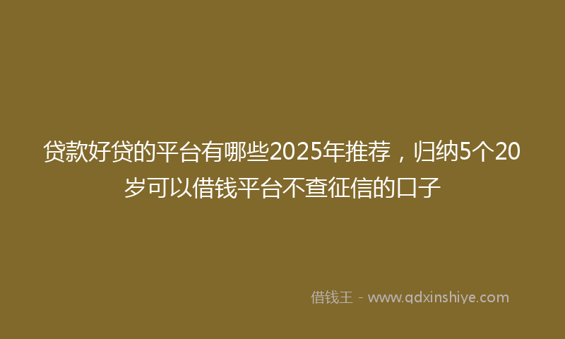 贷款好贷的平台有哪些2025年推荐，归纳5个20岁可以借钱平台不查征信的口子