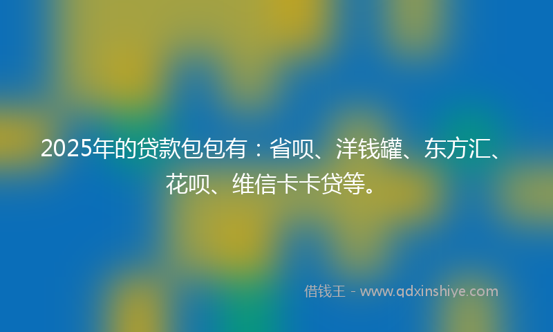 2025年的贷款包包有：省呗、洋钱罐、东方汇、花呗、维信卡卡贷等。