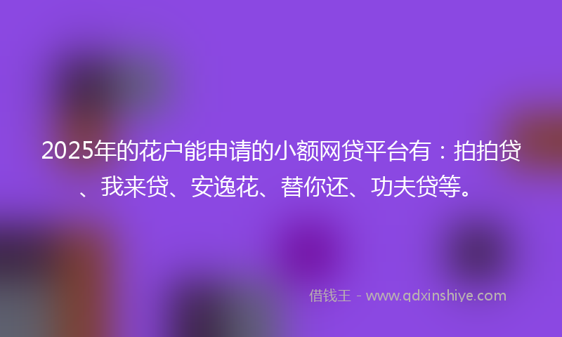 2025年的花户能申请的小额网贷平台有:拍拍贷、我来贷、安逸花、替你还、功夫贷等。