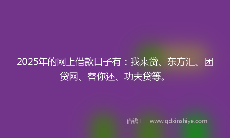 2025年的网上借款口子有：我来贷、东方汇、团贷网、替你还、功夫贷等。