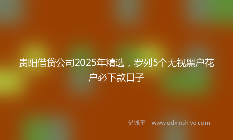 贵阳借贷公司2025年精选，罗列5个无视黑户花户必下款口子