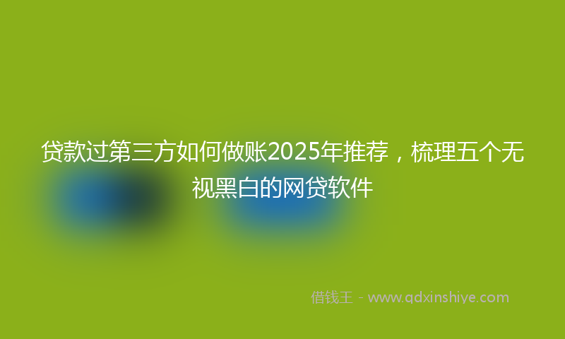贷款过第三方如何做账2025年推荐，梳理五个无视黑白的网贷软件
