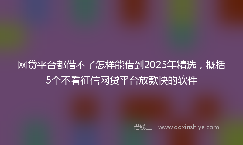 网贷平台都借不了怎样能借到2025年精选，概括5个不看征信网贷平台放款快的软件