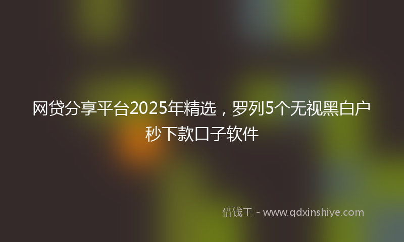 网贷分享平台2025年精选，罗列5个无视黑白户秒下款口子软件