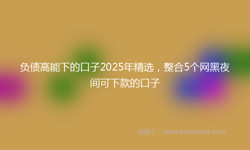 负债高能下的口子2025年精选，整合5个网黑夜间可下款的口子