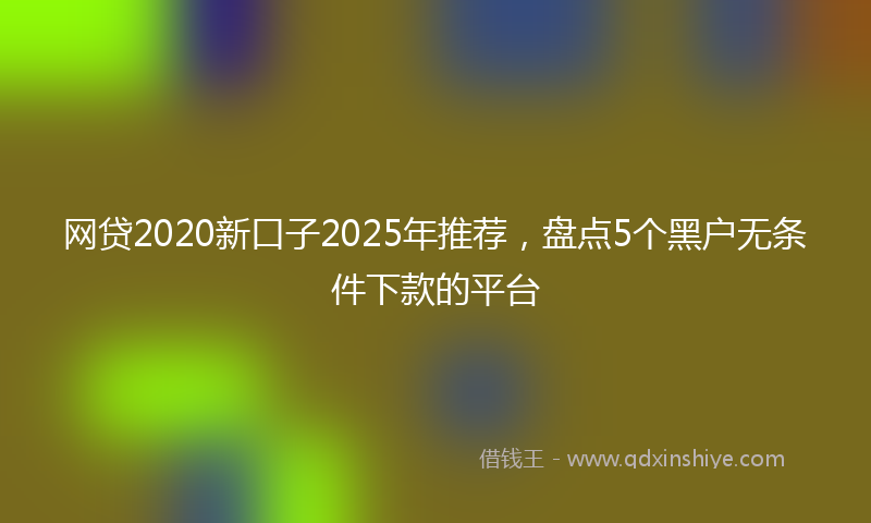网贷2020新口子2025年推荐，盘点5个黑户无条件下款的平台