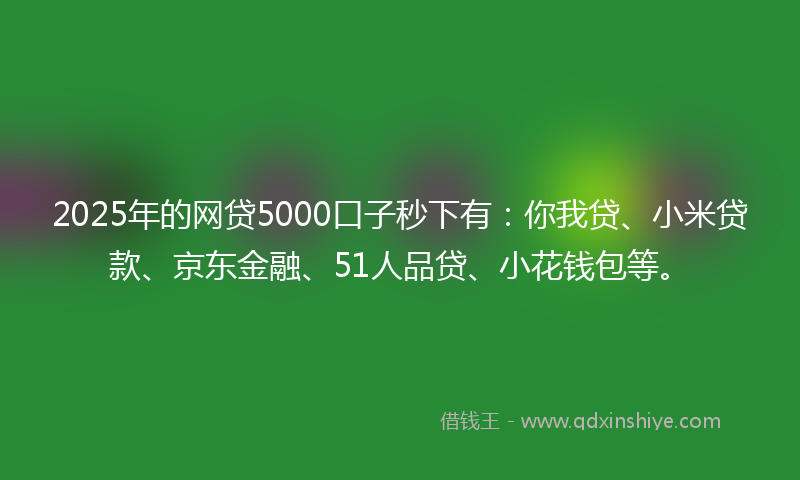 2025年的网贷5000口子秒下有：你我贷、小米贷款、京东金融、51人品贷、小花钱包等。