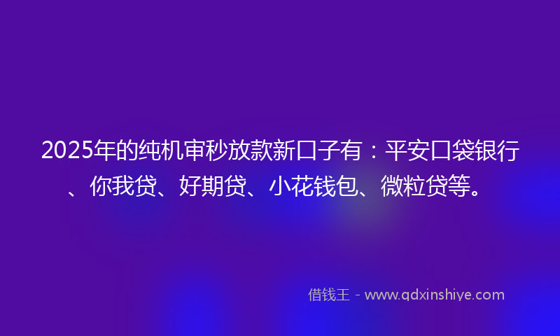 2025年的纯机审秒放款新口子有：平安口袋银行、你我贷、好期贷、小花钱包、微粒贷等。
