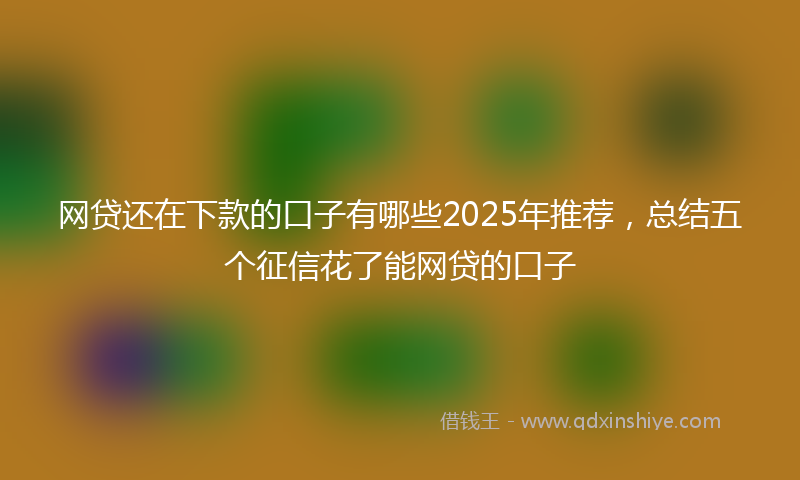 网贷还在下款的口子有哪些2025年推荐，总结五个征信花了能网贷的口子