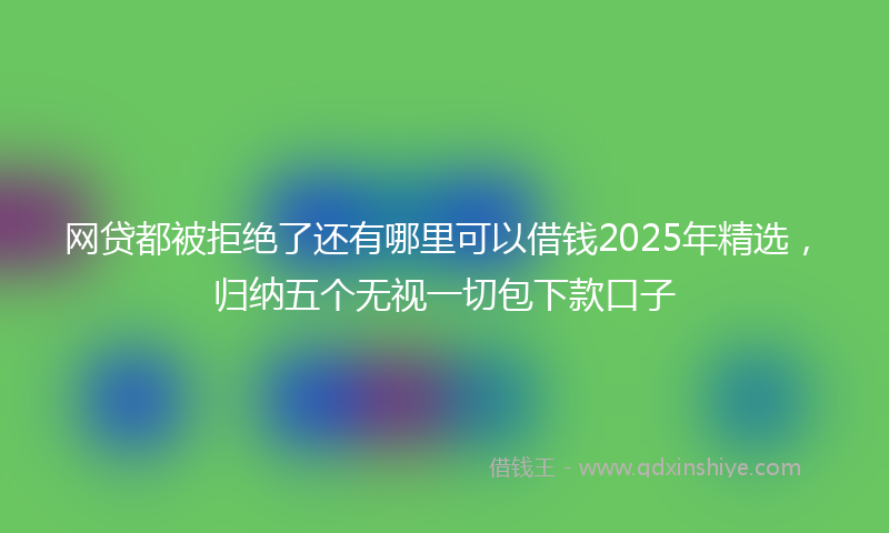 网贷都被拒绝了还有哪里可以借钱2025年精选，归纳五个无视一切包下款口子