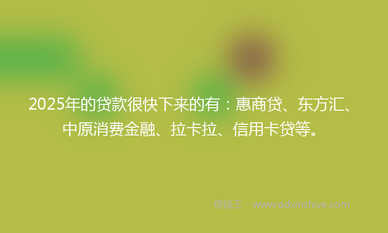 2025年的贷款很快下来的有：惠商贷、东方汇、中原消费金融、拉卡拉、信用卡贷等。