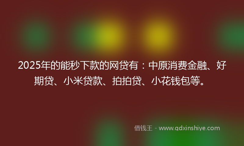 2025年的能秒下款的网贷有：中原消费金融、好期贷、小米贷款、拍拍贷、小花钱包等。