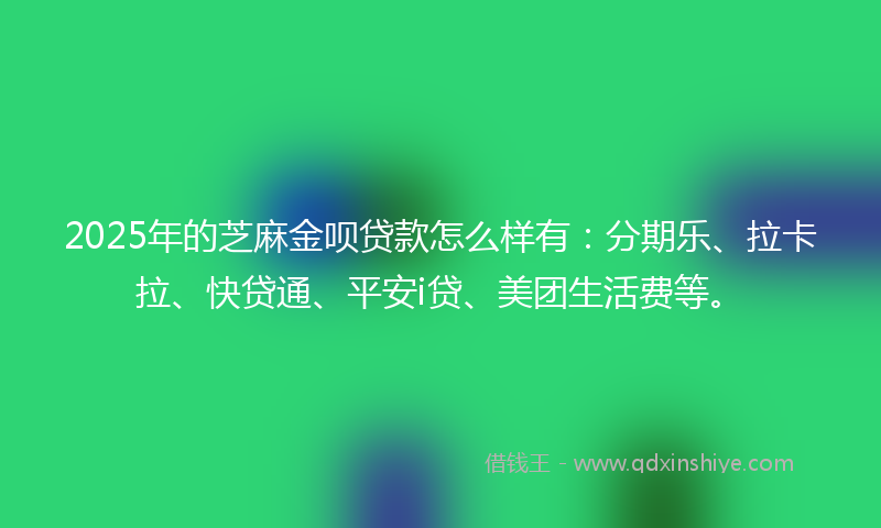 2025年的芝麻金呗贷款怎么样有：分期乐、拉卡拉、快贷通、平安i贷、美团生活费等。