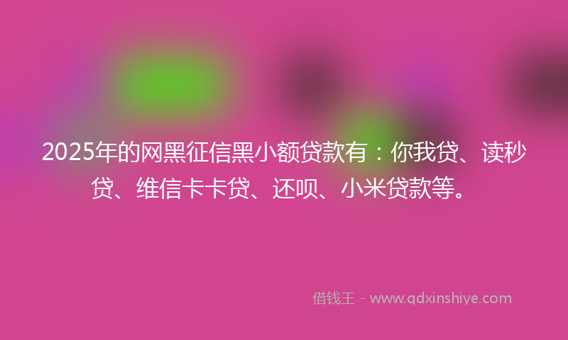 2025年的网黑征信黑小额贷款有：你我贷、读秒贷、维信卡卡贷、还呗、小米贷款等。