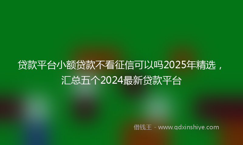 贷款平台小额贷款不看征信可以吗2025年精选，汇总五个2024最新贷款平台