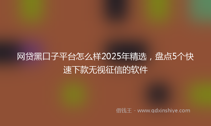 网贷黑口子平台怎么样2025年精选，盘点5个快速下款无视征信的软件