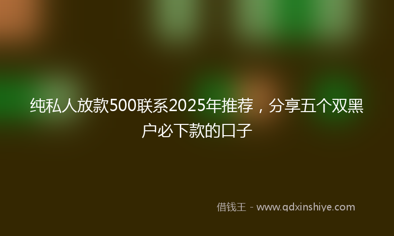纯私人放款500联系2025年推荐，分享五个双黑户必下款的口子